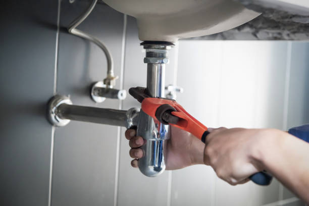 Best Clogged Drain Plumber  in Battle Mountain, NV